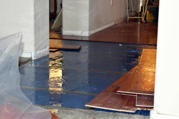Professional Burst Pipe Water Damage technician working in Ray, MI